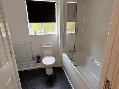 Picture 7